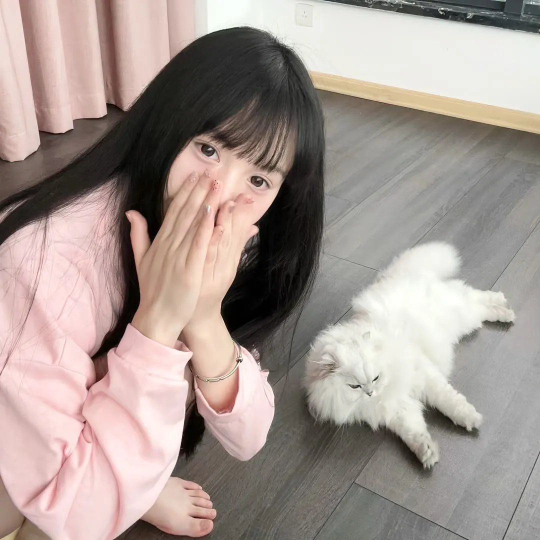 星蝶公主第四季