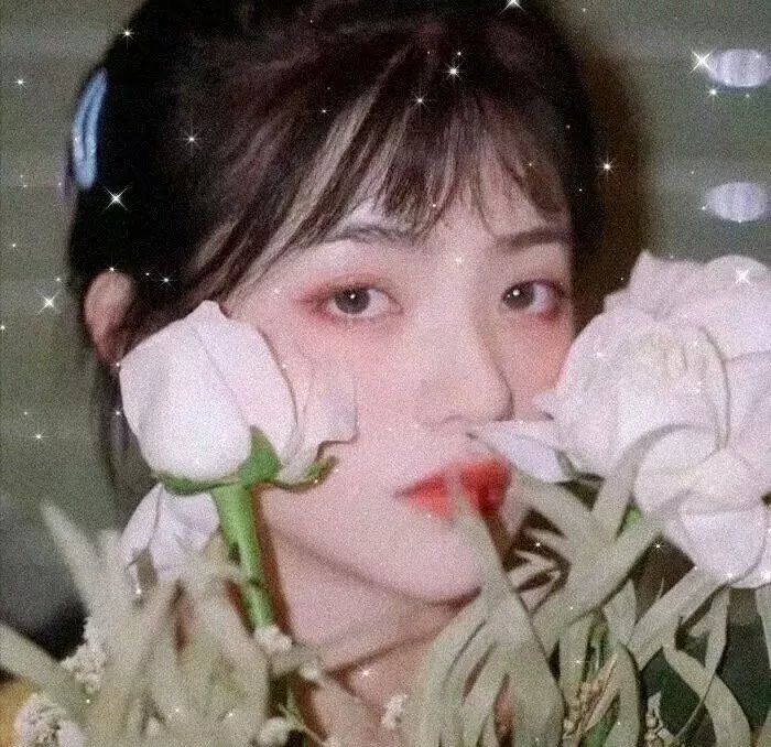 东线无归途